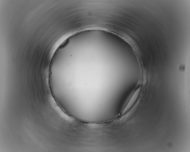 X0000113560812200910091413