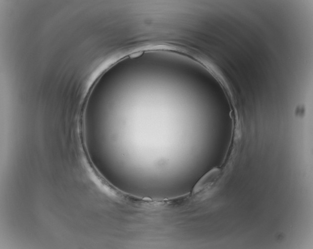 X0000113560813200910091413