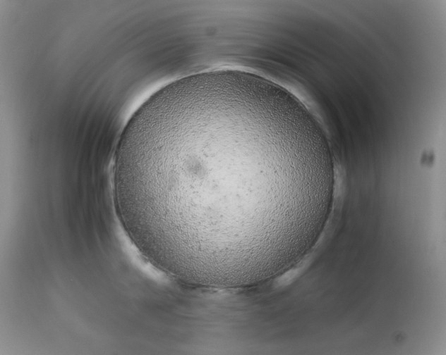 X0000113560814200910091413