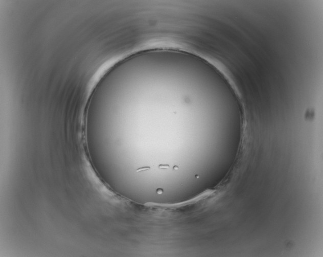 X0000113560815200910091413