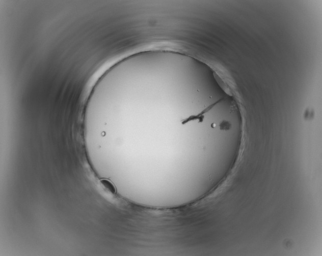 X0000113560816200910091413