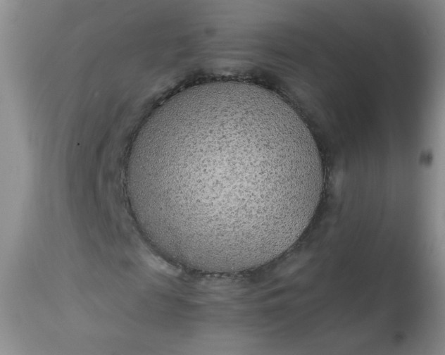 X0000113560817200910091412