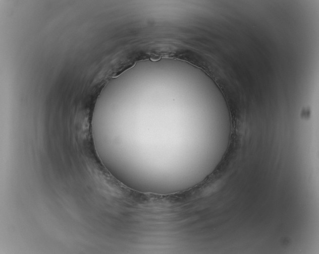 X0000113560818200910091412