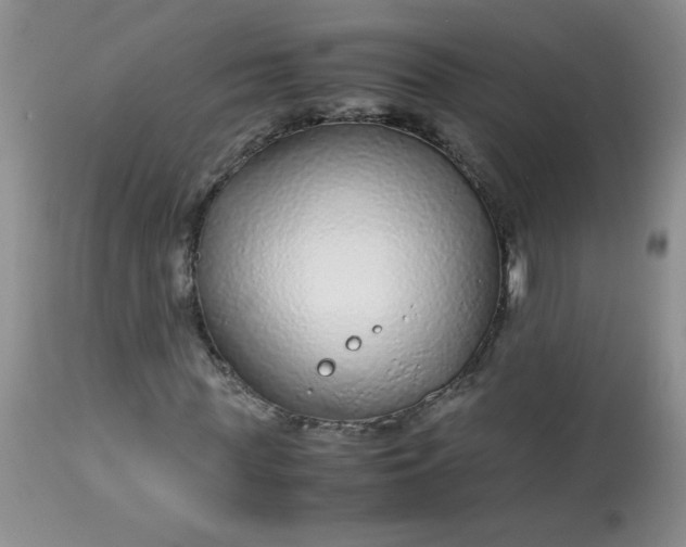 X0000113560819200910091412