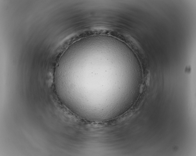 X0000113560821200910091412