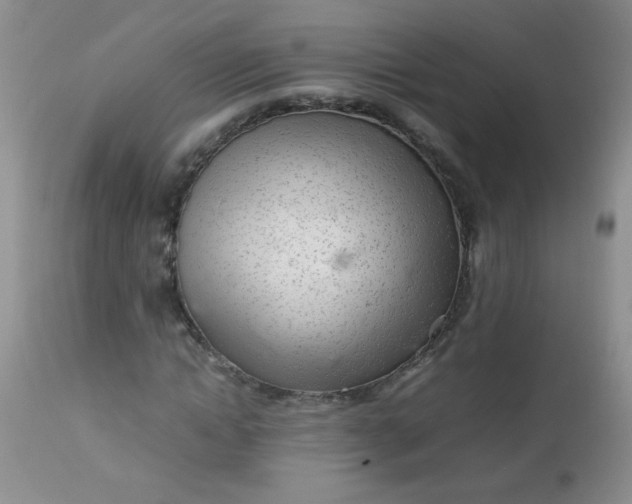 X0000113560822200910091412