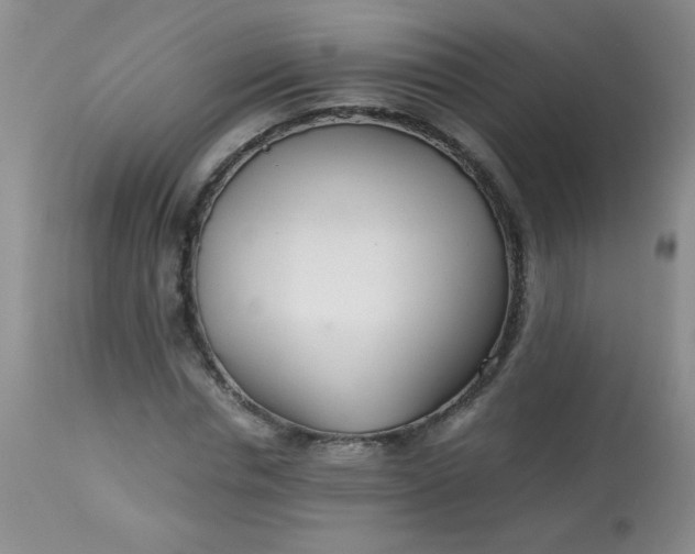 X0000113560826200910091412