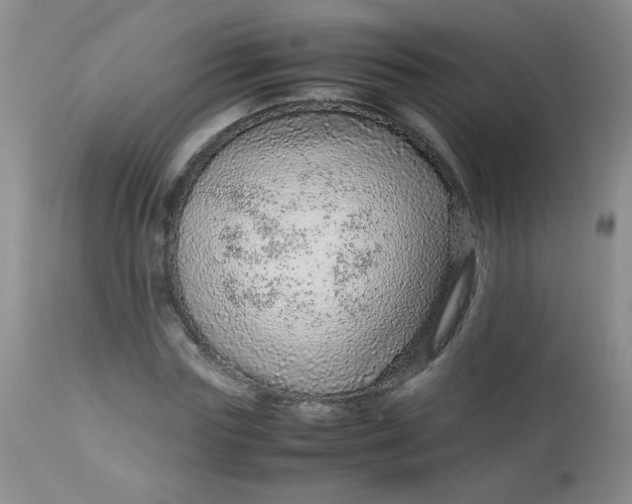 X0000113560827200910091412