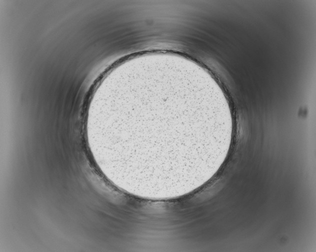 X0000113560828200910091412