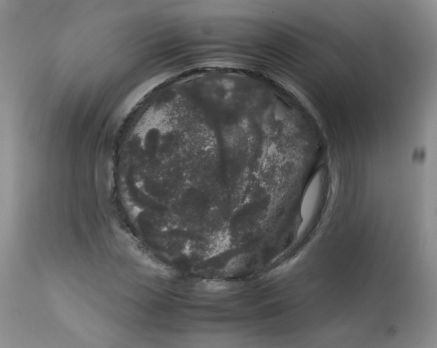 X0000113560829200910091412