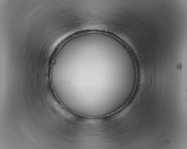 X0000113560830200910091412