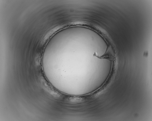 X0000113560833200910091413