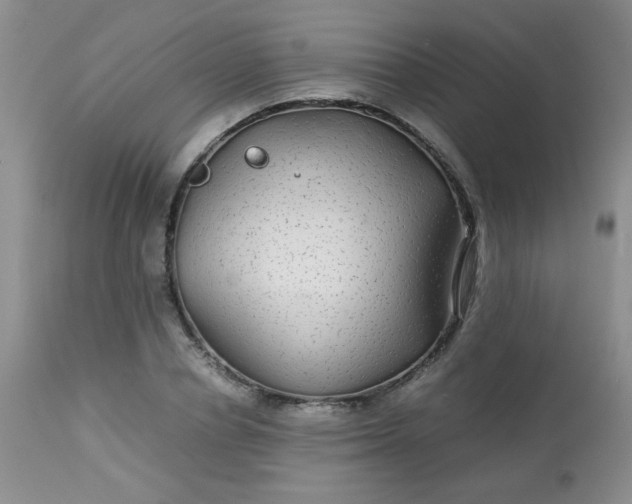 X0000113560834200910091413