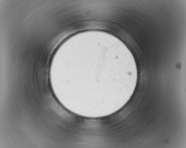 X0000113560836200910091413