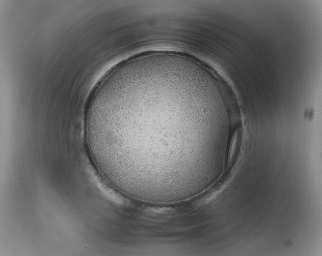 X0000113560837200910091413