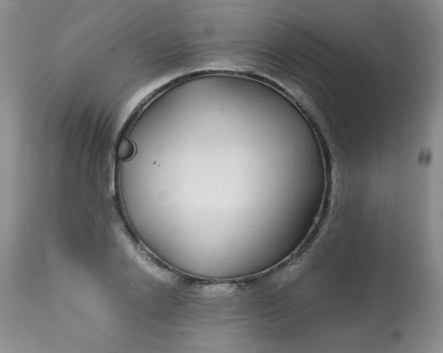 X0000113560838200910091413