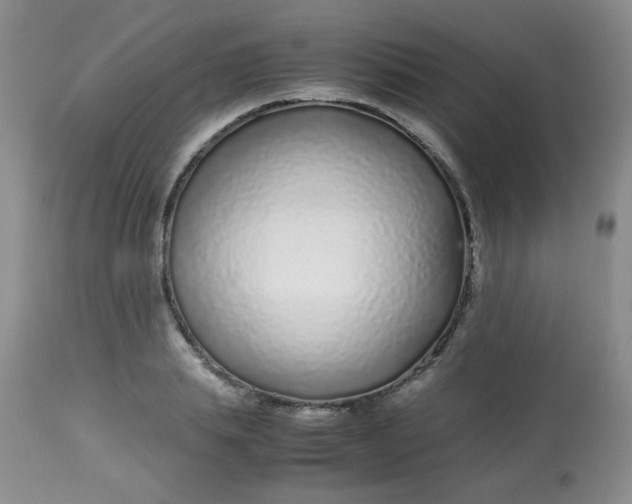 X0000113560839200910091413