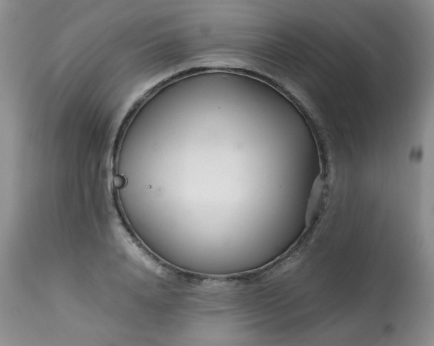 X0000113560840200910091413