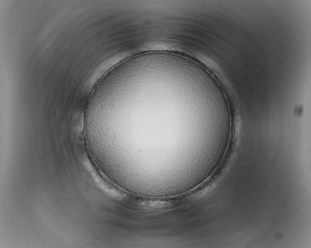 X0000113560841200910091413