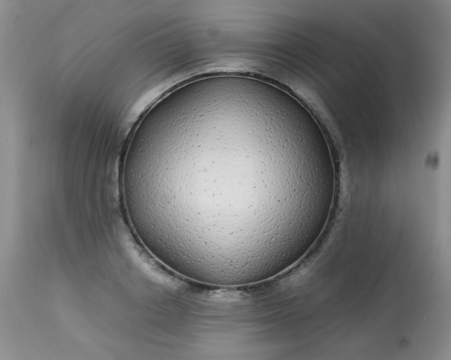 X0000113560842200910091413