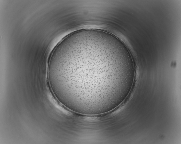 X0000113560844200910091413