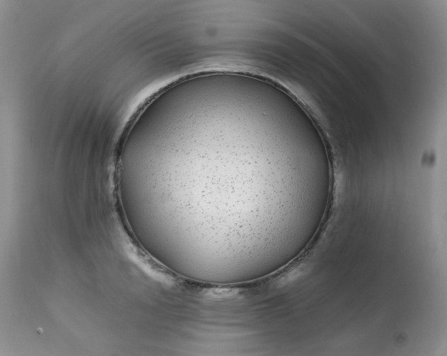 X0000113560846200910091413