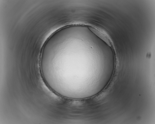 X0000113560847200910091413