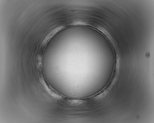 X0000113560849200910091413