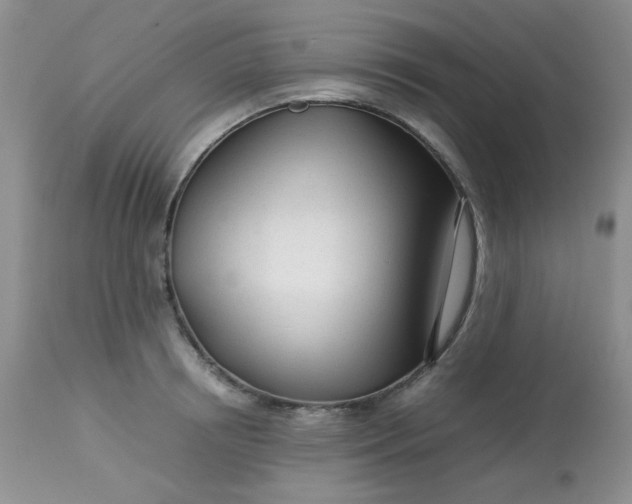 X0000113560850200910091413