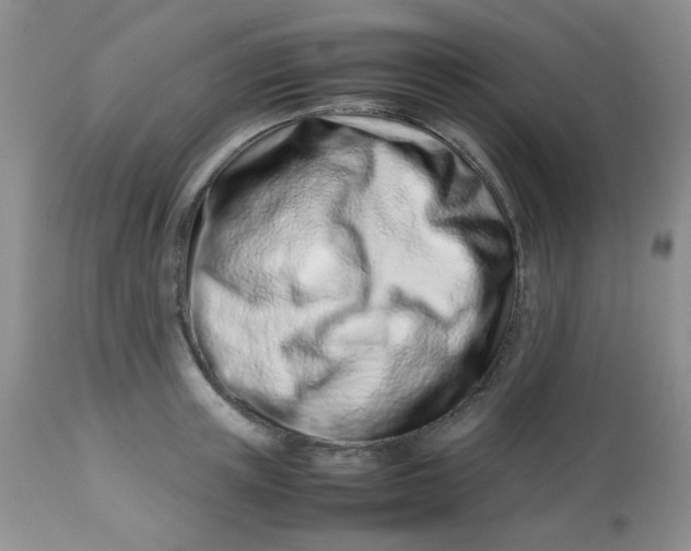 X0000113560851200910091413