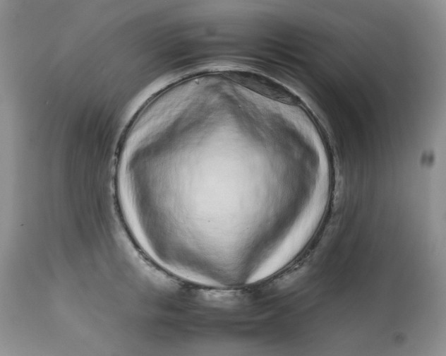 X0000113560853200910091413