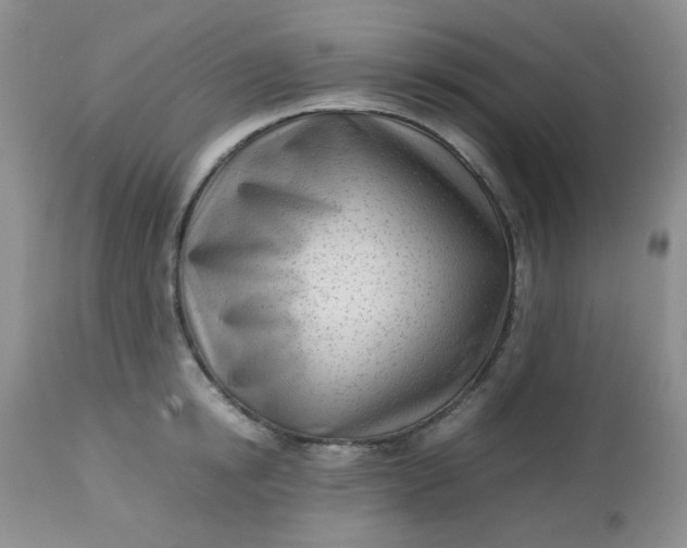 X0000113560854200910091413