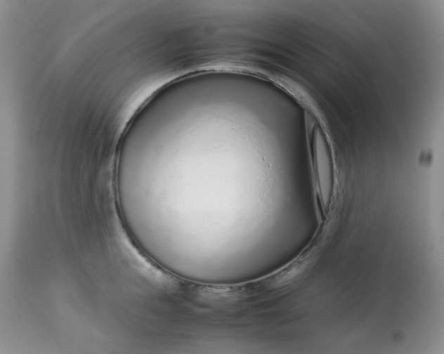 X0000113560855200910091413