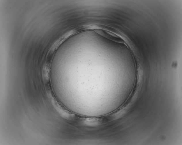 X0000113560857200910091413