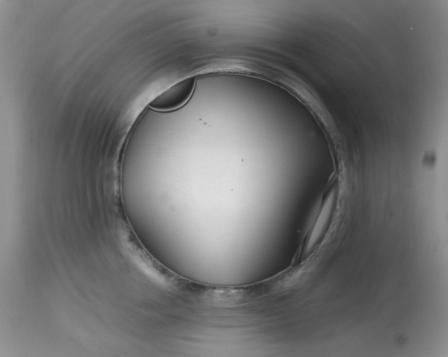 X0000113560858200910091413