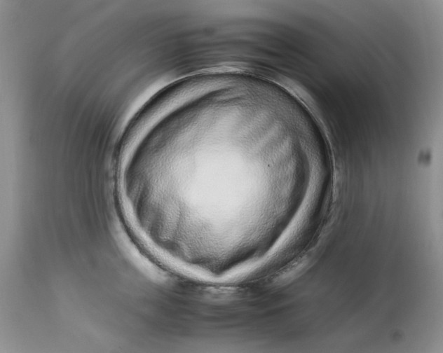 X0000113560859200910091413