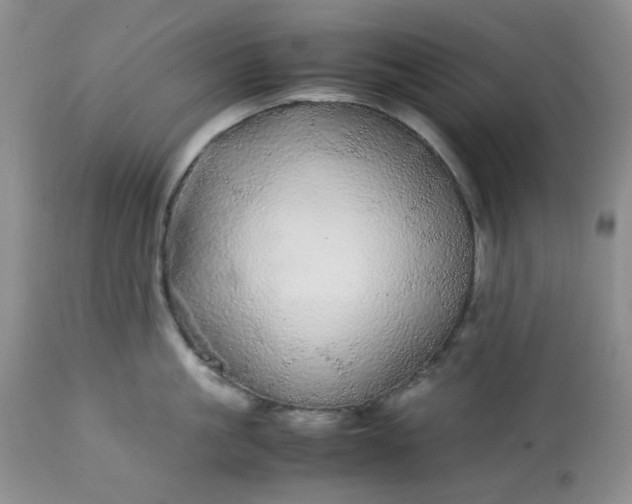 X0000113560861200910091413