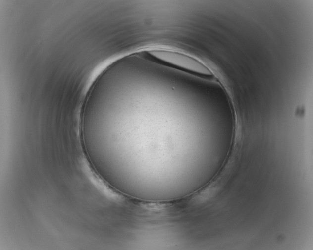 X0000113560862200910091413