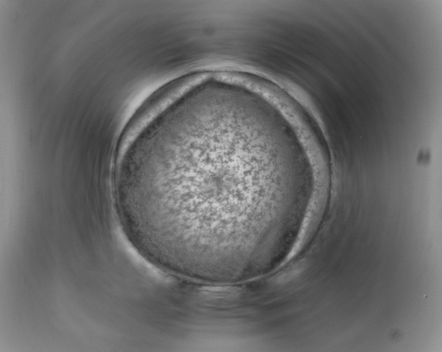 X0000113560863200910091413