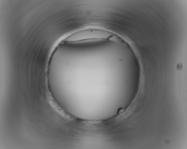 X0000113560864200910091413