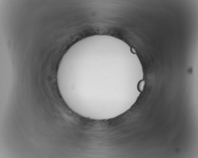 X0000113560865200910091412