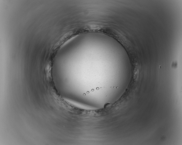 X0000113560866200910091412