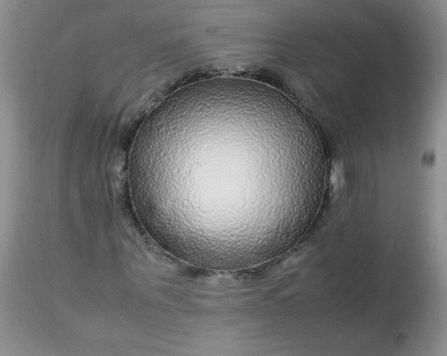 X0000113560867200910091412