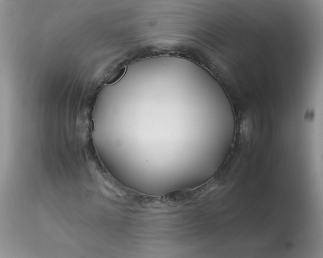 X0000113560868200910091412