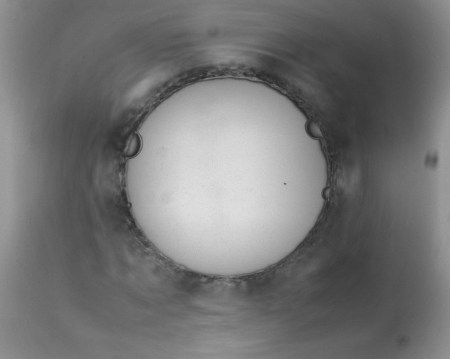 X0000113560869200910091412