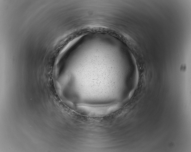 X0000113560870200910091412