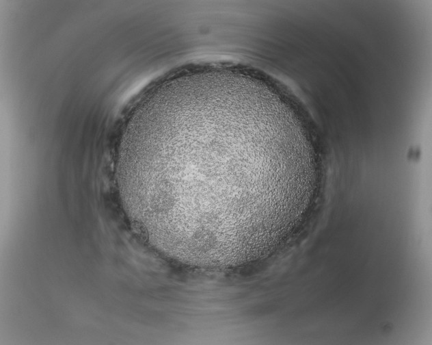 X0000113560871200910091412