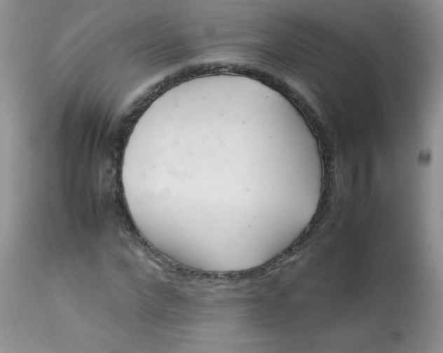 X0000113560872200910091412