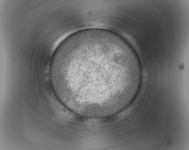 X0000113560875200910091412