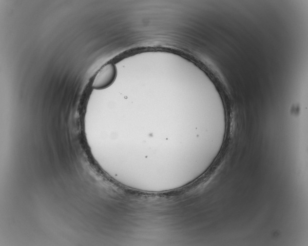 X0000113560876200910091412